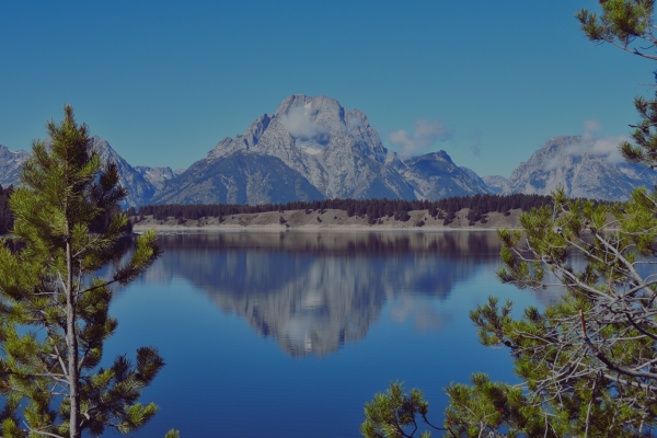 Hampton Bluff Capital Partners